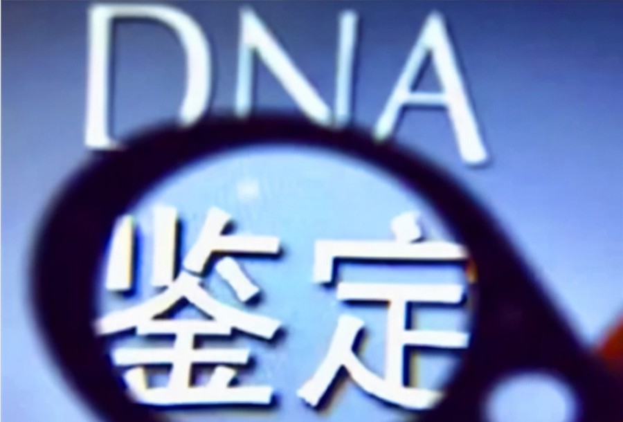 dna聚合酶和rna聚合酶的区别,DNA聚合酶与RNA聚合酶：关键差异大揭秘